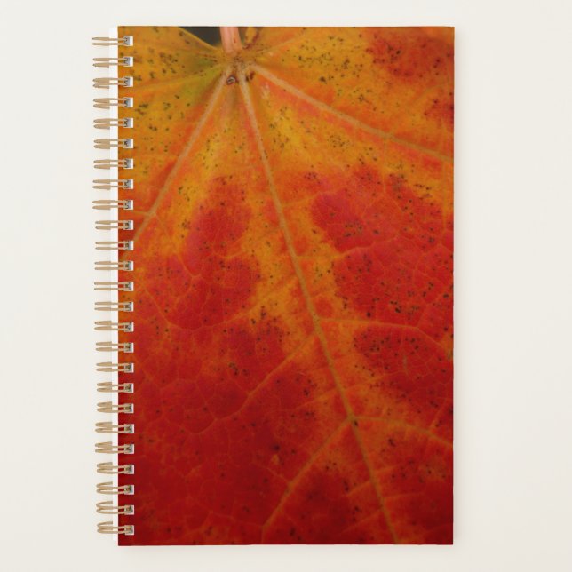 Red Maple Leaf Abstract Autumn Nature Photography Planner (Front)