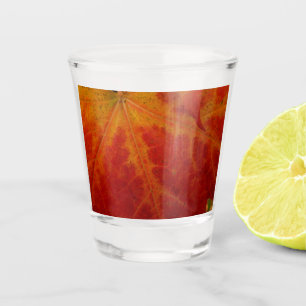 Red Maple Leaf Abstract Autumn Nature Photography Shot Glass