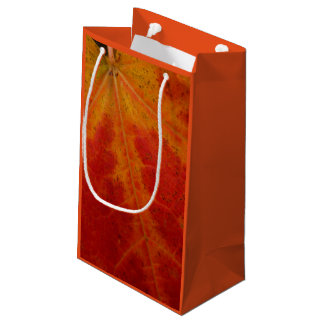 Red Maple Leaf Abstract Autumn Nature Photography Small Gift Bag