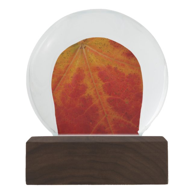 Red Maple Leaf Abstract Autumn Nature Photography Snow Globe (Front)