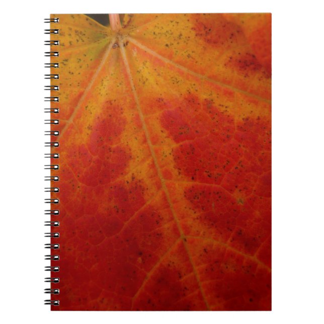 Red Maple Leaf Abstract Autumn Nature Photography Spiral Notebook (Front)