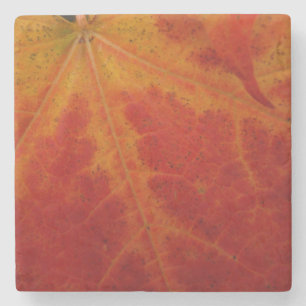 Red Maple Leaf Abstract Autumn Nature Photography Stone Coaster