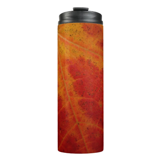 Red Maple Leaf Abstract Autumn Nature Photography Thermal Tumbler (Front)