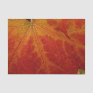 Red Maple Leaf Abstract Autumn Nature Photography Tissue Paper