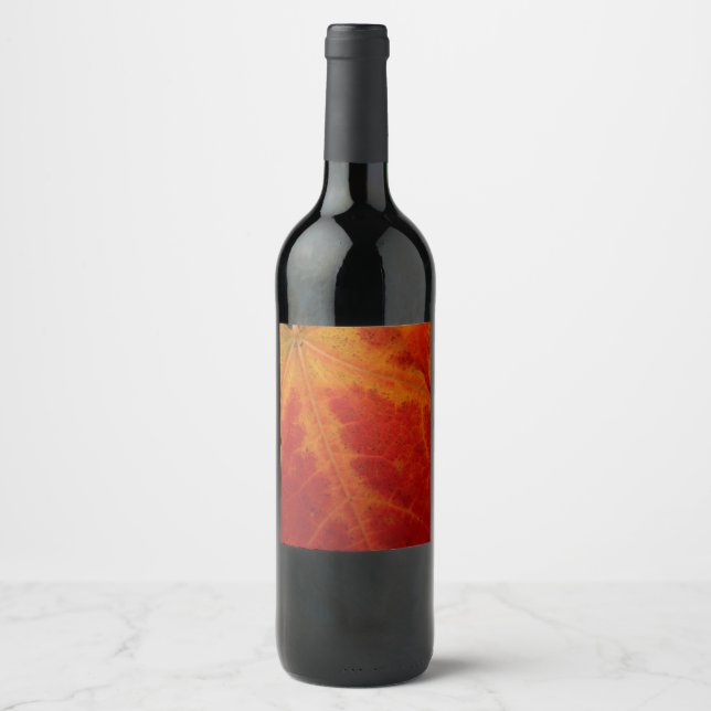 Red Maple Leaf Abstract Autumn Nature Photography Wine Label (Front)