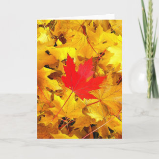 Red Maple Leaf Card