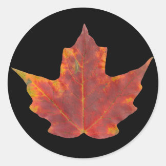Red Maple Leaf Classic Round Sticker
