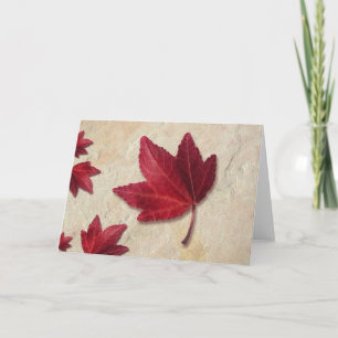 Red Maple Leaf Holiday Card