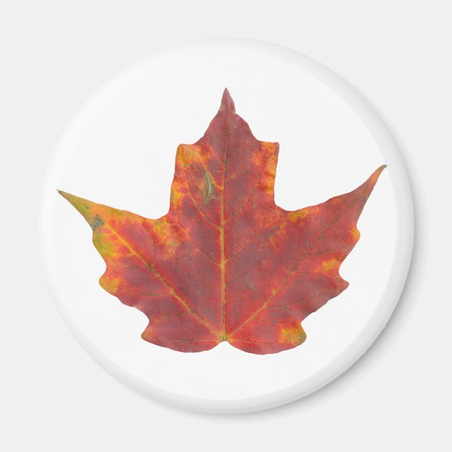 Red Maple Leaf Magnet (Front)