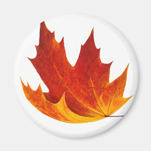 Red maple leaf magnet