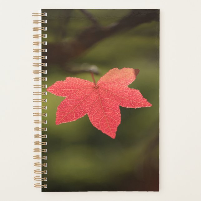 Red Maple Leaf Nature Photo Planner (Front)