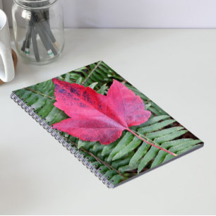 Red Maple Leaf on Green Fern Botanical Notebook