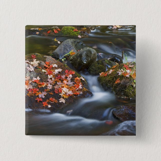 Red maple leaves carpet the rocks in the 15 cm square badge (Front)