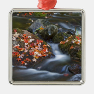 Red maple leaves carpet the rocks in the metal tree decoration