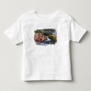 Red maple leaves carpet the rocks in the toddler T-Shirt