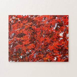 Red Maple Leaves Jigsaw Puzzle