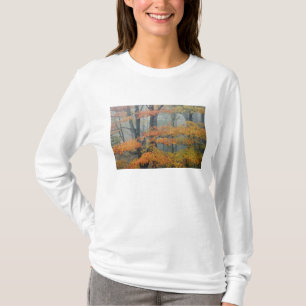 Red Maple tree, Acer rubrum, portrait in foggy T-Shirt