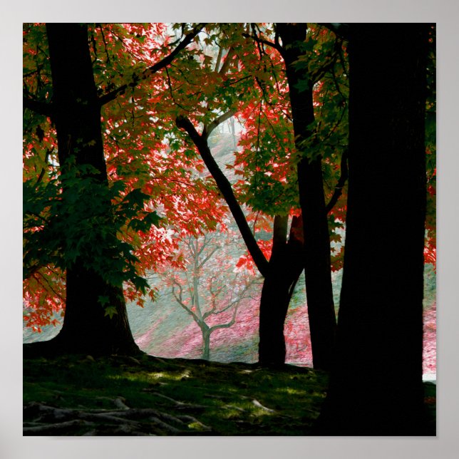 Red Maple Tree Foliage Poster (Front)