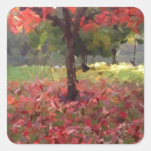 Red Maple Tree Photography Square Sticker