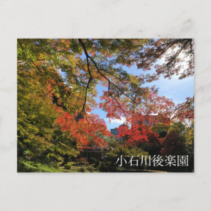 Red Maples at Japanese Garden Postcard