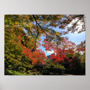 Red Maples at Japanese Garden Poster