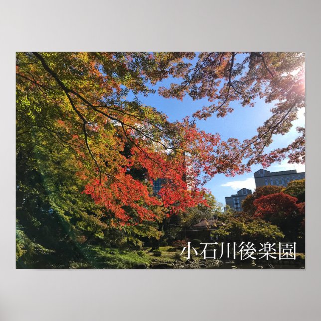 Red Maples at Japanese Garden Poster (Front)