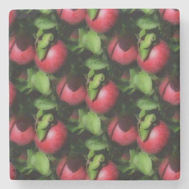 Red McIntosh Apples Nature Art Pattern Stone Coaster (Front)