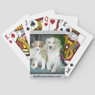 Red Merle Aussie playing cards. Cards