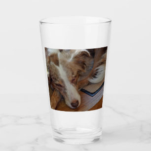 red merle aussie sleeping glass