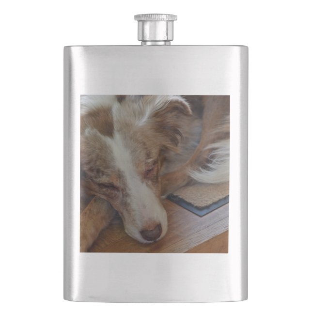 red merle aussie sleeping hip flask (Front)