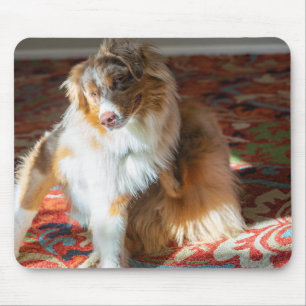 Red Merle Australian Shepherd Mouse Pad