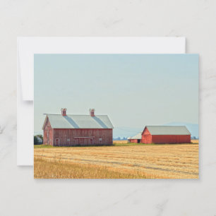 Red Montana Barns Postcard