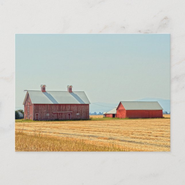 Red Montana Barns Postcard (Front)