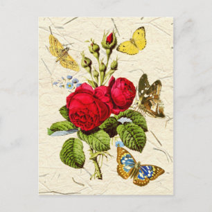Red Moss Rose with colourful butterflies Postcard