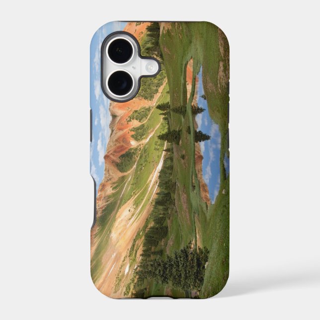 Red Mountain Reflection (Back)