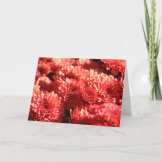 Red Mums in Public Garden Card
