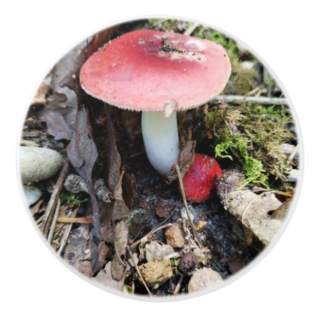Red Mushroom Fairy Ceramic Knob (Front)