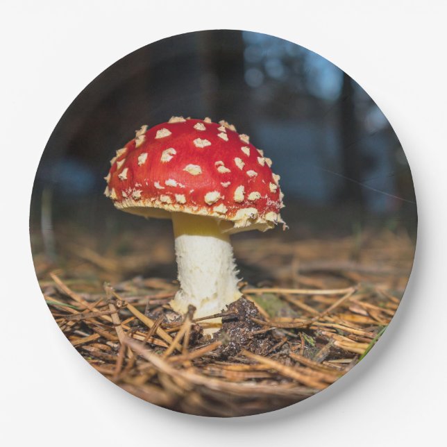 Red Mushroom Paper Plates (Front)