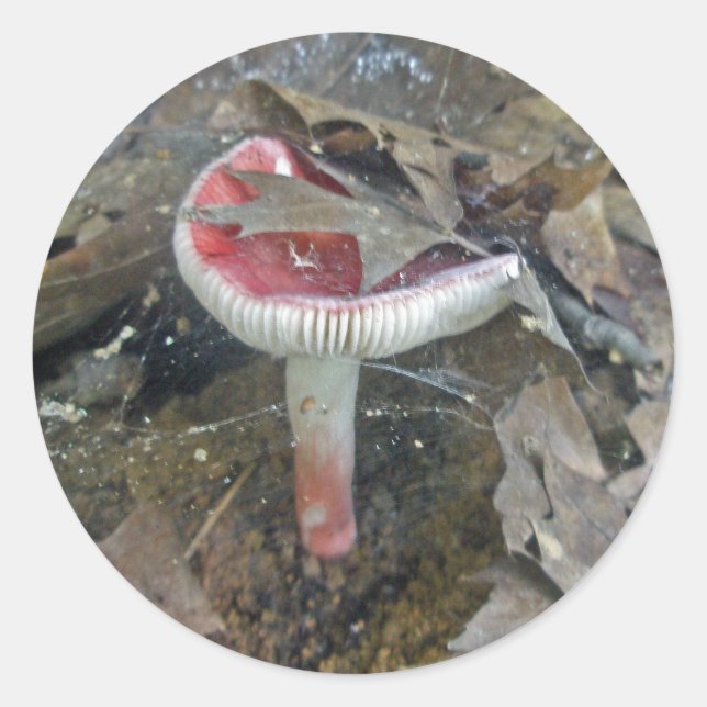 Red Mushroom &  Sheet Web Stickers (Front)