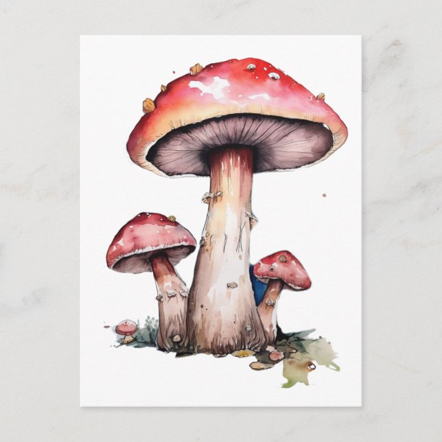 Red Mushrooms Postcard (Front)