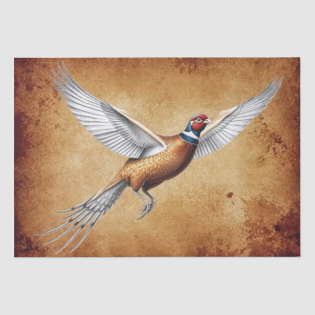 Red-neck Pheasant Decoupage / Tissue Paper (Front)