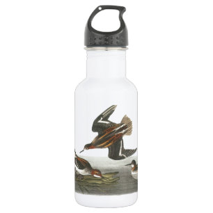 Red-necked Phalarope by Audubon 532 Ml Water Bottle