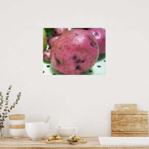 Red Norland potato Poster