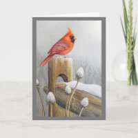 Red Northern Cardinal Bird on Fence Watercolor Art