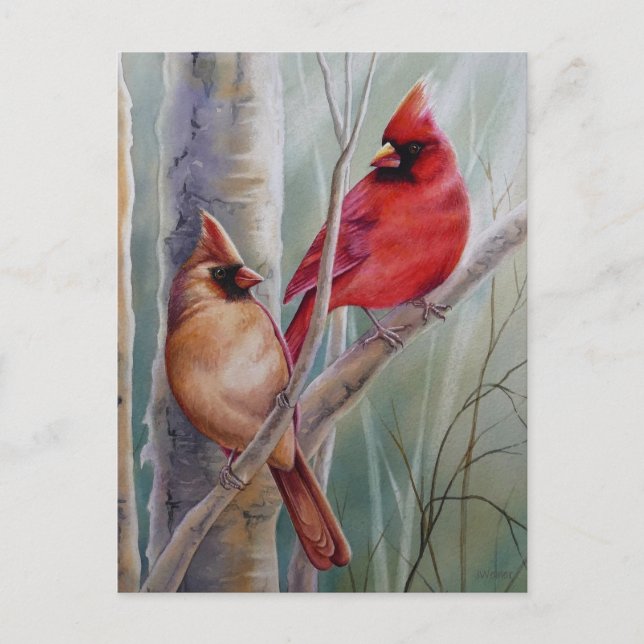 Red Northern Cardinal Bird Pair Watercolor Art Postcard (Front)
