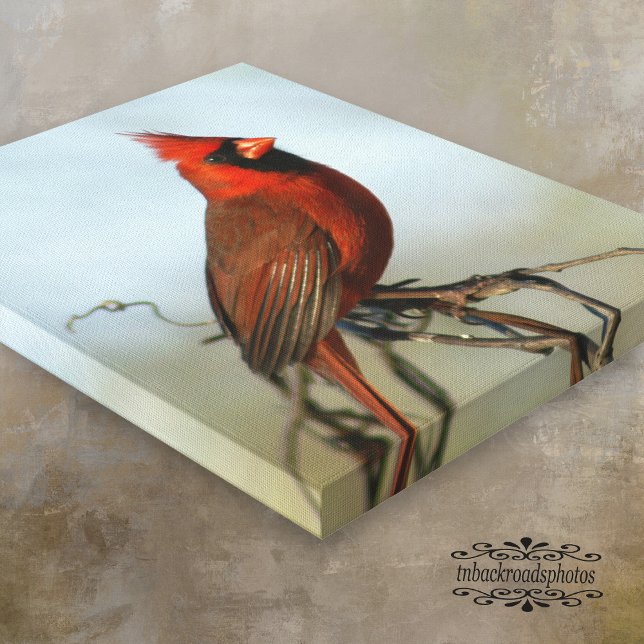 Red Northern Cardinal Canvas (Creator Uploaded)
