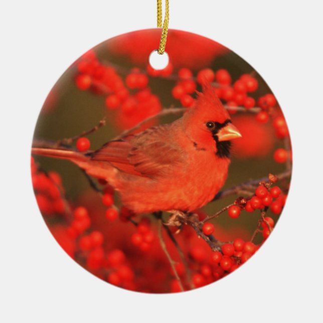 Red Northern Cardinal Male, IL Ceramic Tree Decoration (Front)