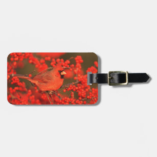 Red Northern Cardinal Male, IL Luggage Tag
