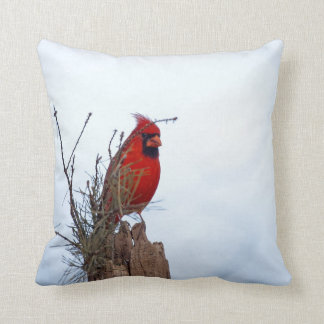 Red Northern Cardinal sitting on a wooden post Cushion