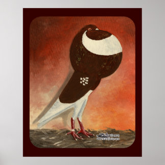 Red Norwich Cropper Pigeon Poster